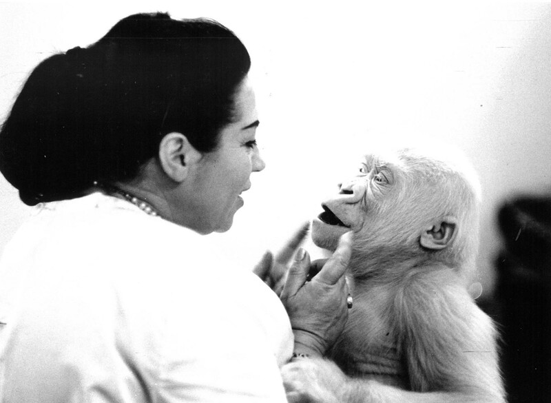 Floquet de Neu amb Maria Gracia dona de Román Luera