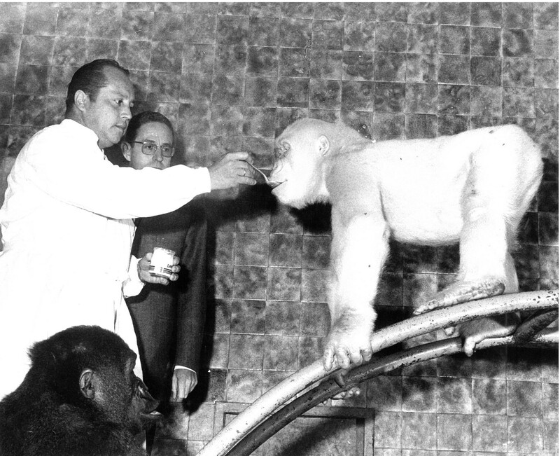 Floquet de Neu, Dr. Luera i Sabater Pi