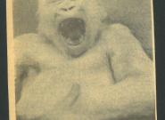 Copito de Nieve se pone tierno y cordial